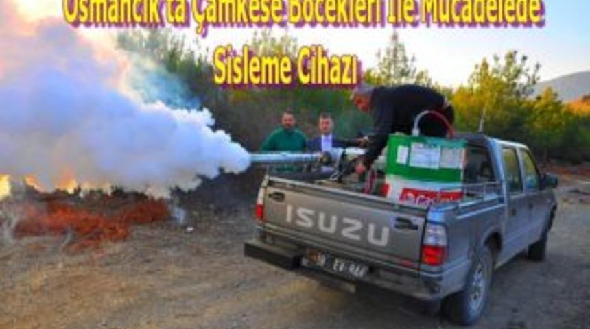 Osmancık'ta Çamkese böcekleri ile mücadelede sisleme cihazı