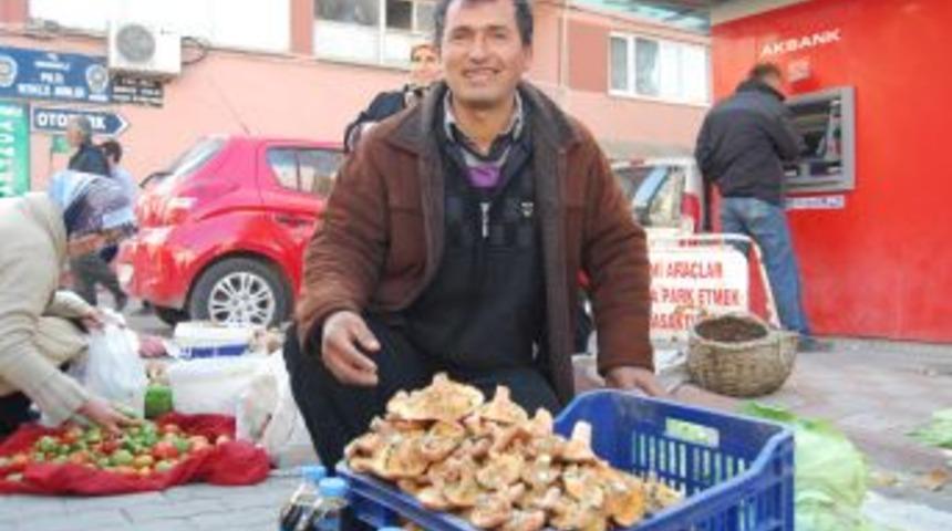 Bursa'da Havalar Kurak Gitti, Melkinin Fiyatı Fırladı