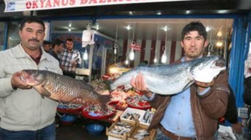 Aksaray'da Balık&ccedil;ıların Y&uuml;z&uuml; G&uuml;l&uuml;yor
