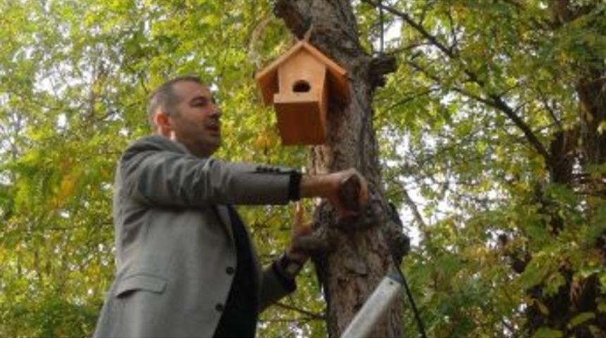 Kuşlar I&ccedil;in Ağa&ccedil;lara Yuva Monte Ettiler