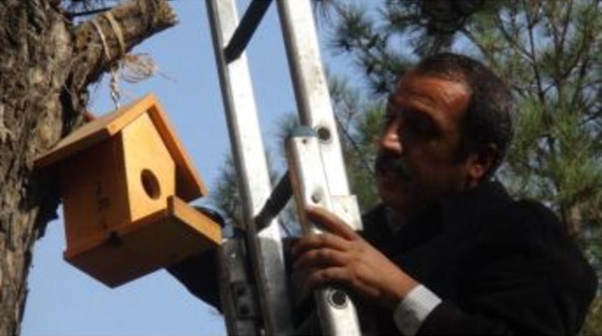 Parktaki Kuşlar &lsquo;ev&rsquo;lendi