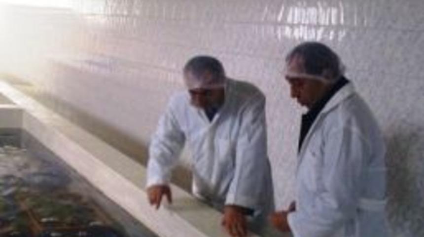 Ayvalık&rsquo;ta Su &Uuml;r&uuml;nlerinden Sıkı Denetim