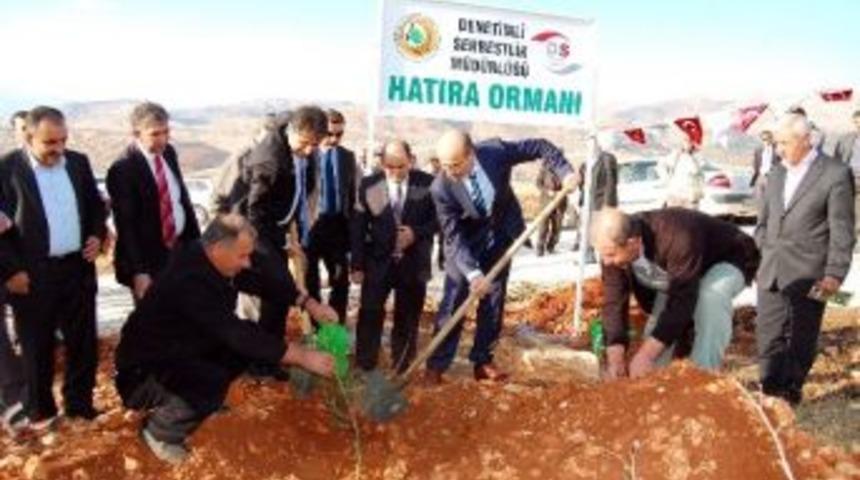 Denetimli Serbestlik Mahkumları, Fidanları Toprakla Buluşturdu