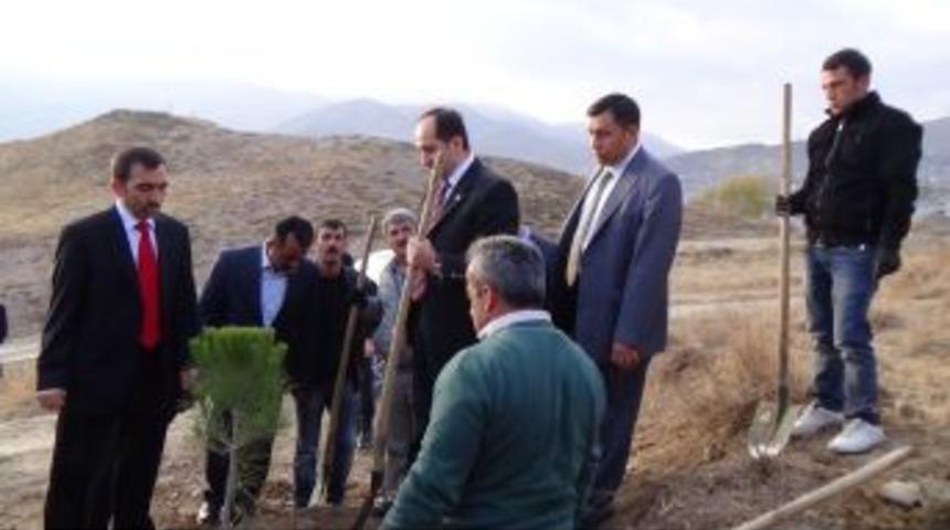 Hakkari &Uuml;niversitesi Kamp&uuml;s&uuml; Yeşillendiriliyor