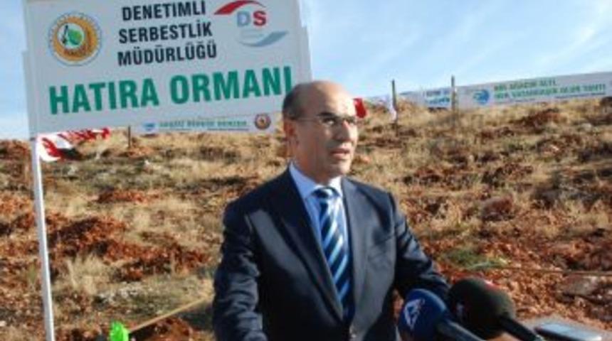 Cezaevi Yerine Fidan Diktiler