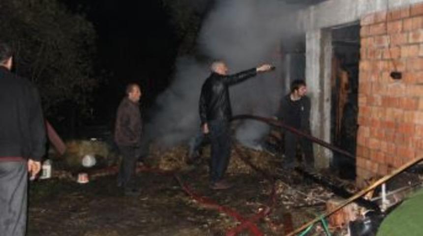 Ahır Yangınında 20 Hayvan Telef Oldu