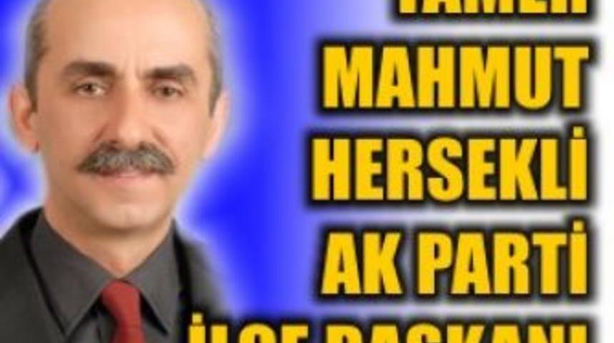 Hersekli Ak Parti İl&ccedil;e başkanı oldu