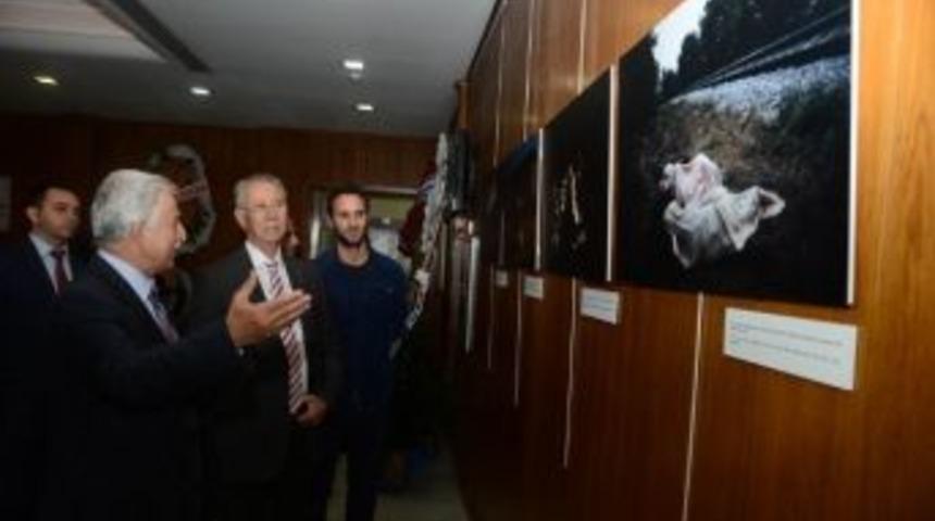 &ldquo;sınırların &Ouml;tesinde&rdquo; Sergisi