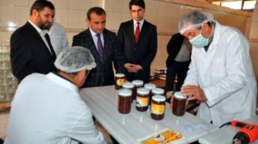 Seydişehir K&uuml;pe Balı Patenti Alındı