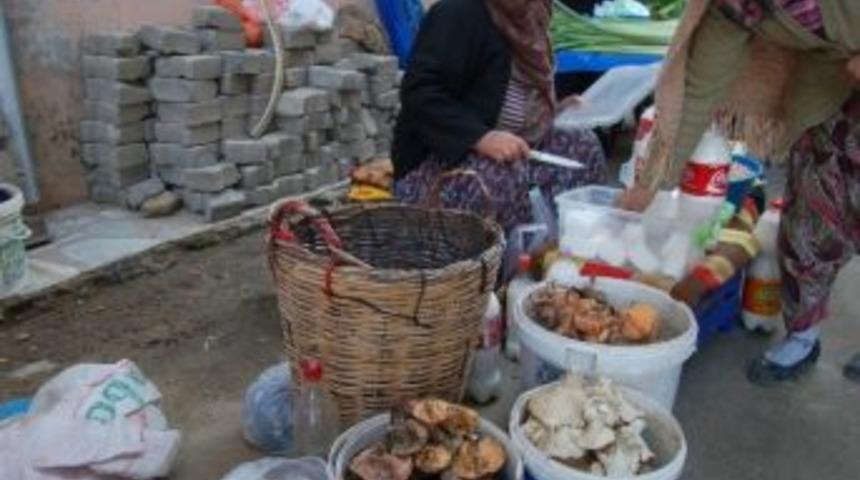 Halk Pazarında Mantar Bereketi