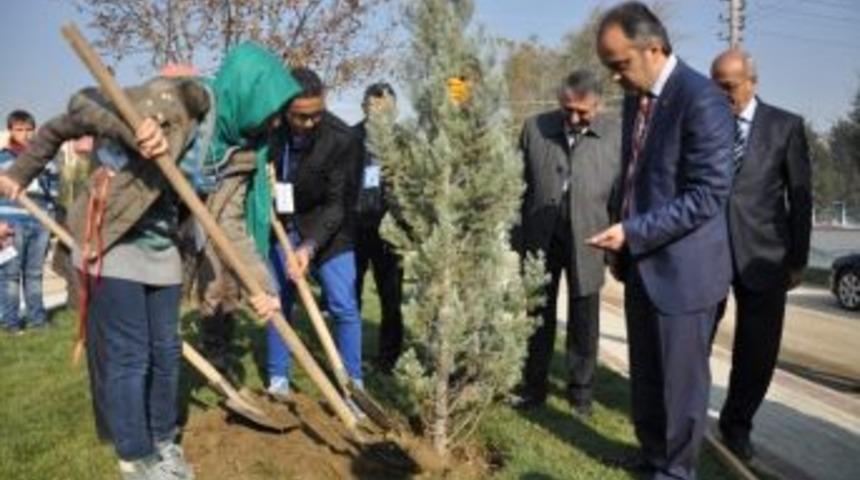 Yabancı &Ouml;ğrenciler Fidan Dikti