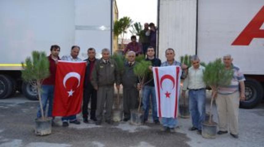 T&uuml;rkiye&rsquo;den KKTC'ye Bin Fidan G&ouml;nderildi