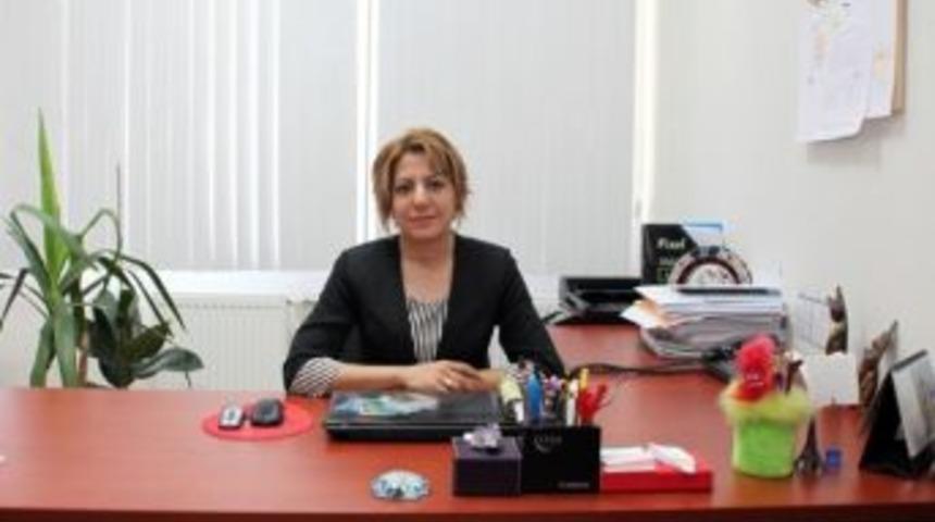 Km&uuml;&rsquo;de Ağrısız Kan Alma Metodu Araştırıldı