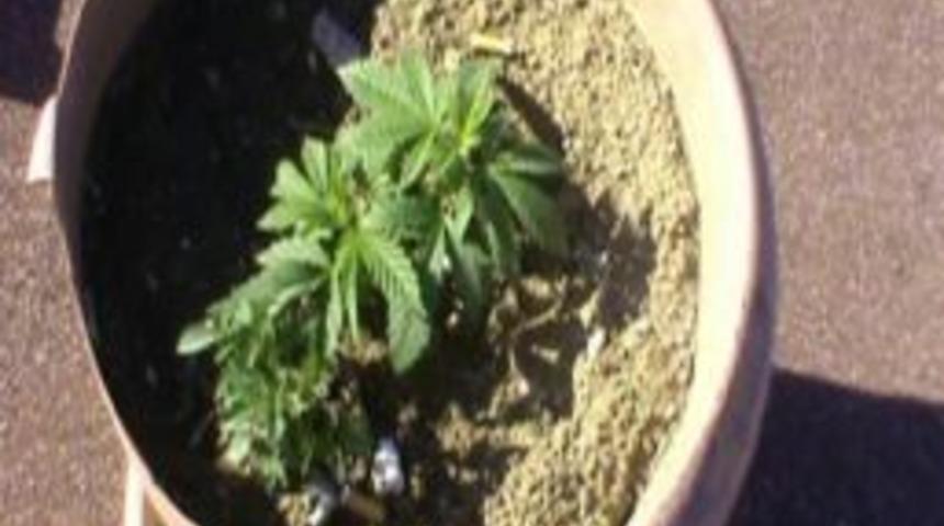 Hırsızlar G&uuml;venlik Kamerasında