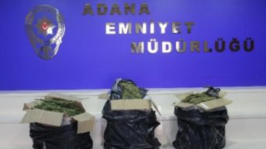 Avukat Uyuşturucu Sevkıyatı Yaparken Yakalandı