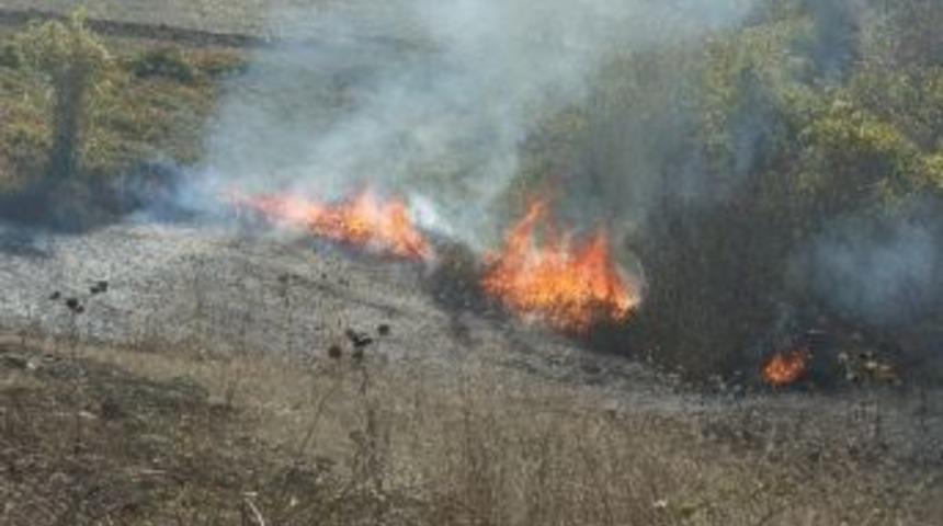 Samanlık Yangını Ormanlık Alana Sı&ccedil;radı