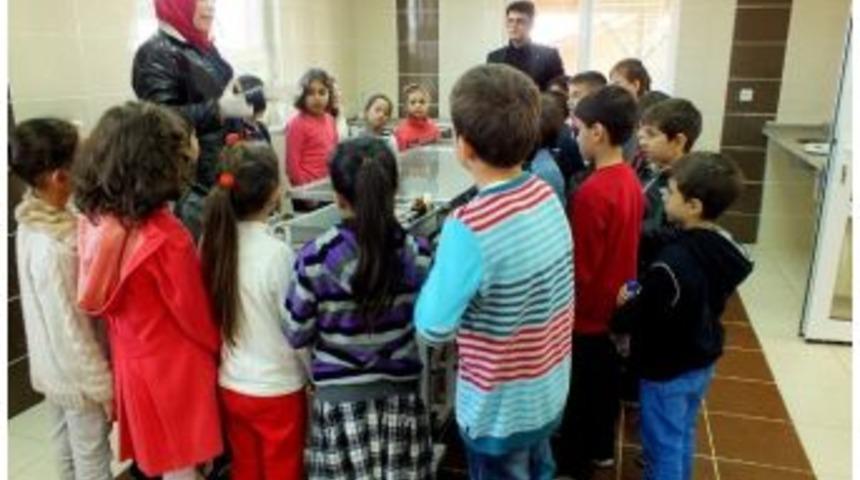 &Ouml;ğrenciler Yatırımları Geziyor