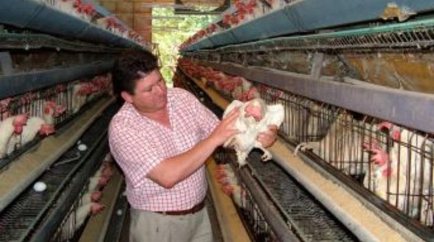 'Yumurta Insanın Ihtiyacı Olan T&uuml;m Besin &Ouml;ğelerini I&ccedil;eren Tek Besin'