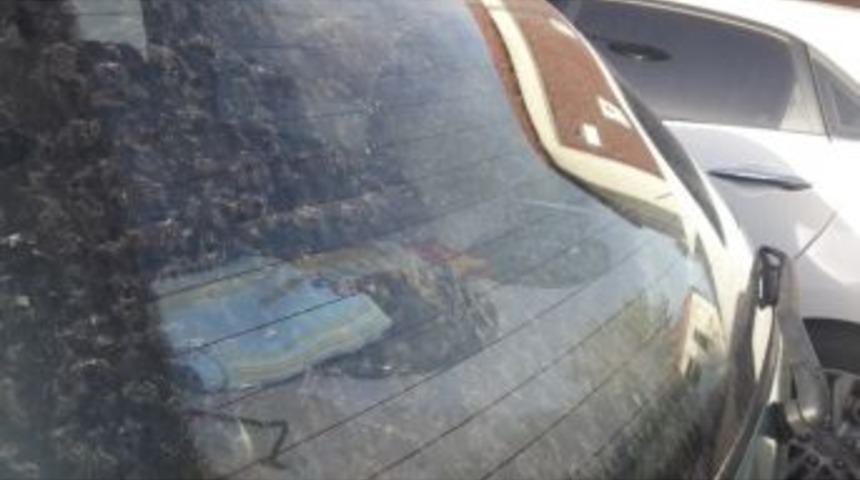 &Ccedil;anakkale&rsquo;ye &Ccedil;amur Yağdı