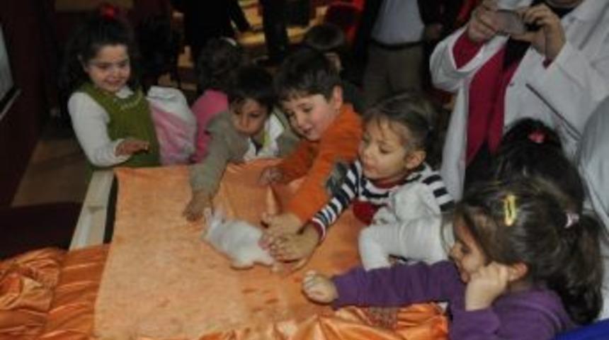 Anaokulu &Ouml;ğrencilerine &lsquo;hayvan Sevgisi&rsquo; Anlatıldı