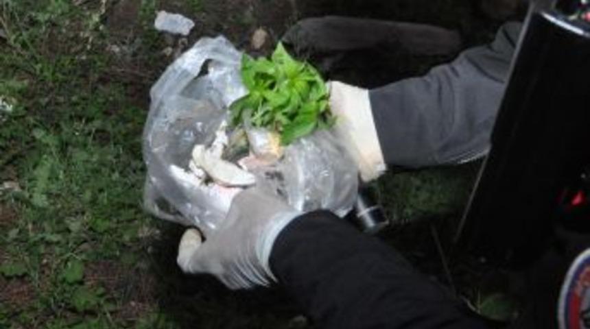 Ayvalık'ta Şafak Operasyonu: 22 Kg. Esrar Ele Ge&ccedil;irildi