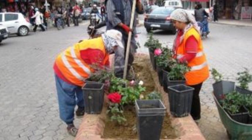 &Ouml;demiş'te Mızraklı Demirlerin Yerine Macar G&uuml;lleri