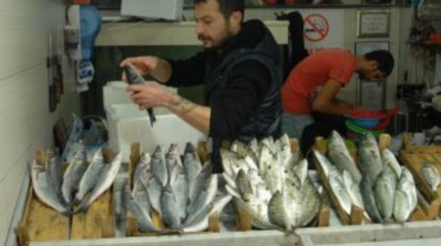 &Ccedil;anakkale&rsquo;de Tezgahlarda Balık Bolluğu Yaşanıyor