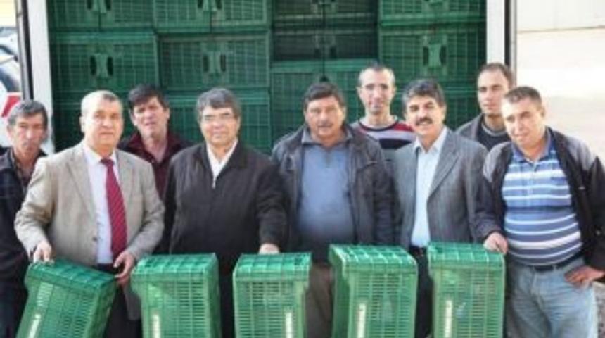 Fabrikalara Zeytin Kasası Dağıtıldı