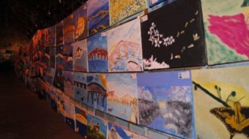 Rekorluk Resimler Sahiplerine Verildi