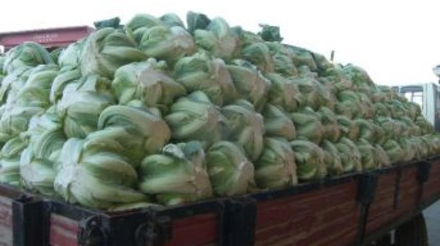 Kışlık Sebze Y&uuml;z G&uuml;ld&uuml;r&uuml;yor
