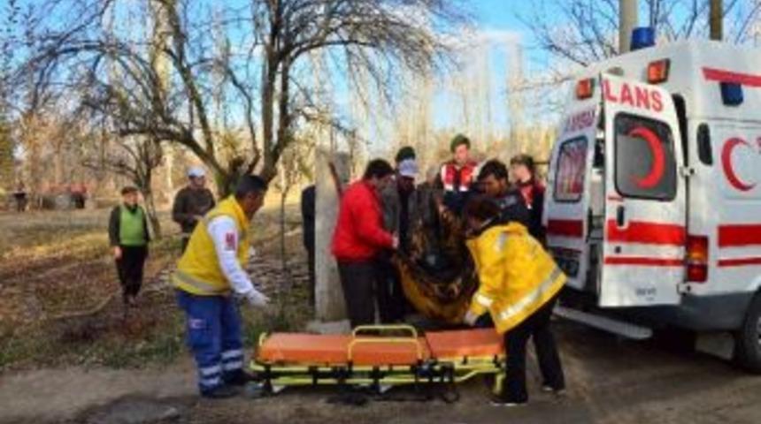 Ağaçtan Düşen Yaşlı Adam Hayatını Kaybetti