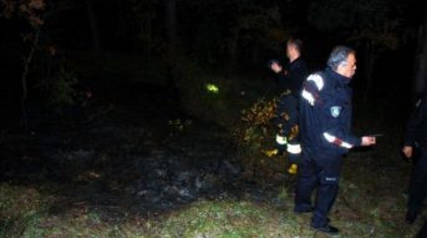 Toki Kent Ormanında Yangın