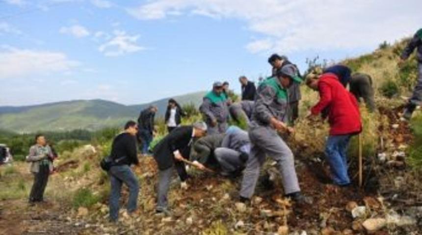 Milas Toplum Sağlığı Merkezi&rsquo;den Koah Ormanı