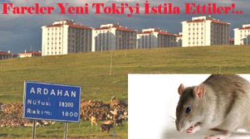 Yeni ToKİ&rsquo;de panik&hellip;