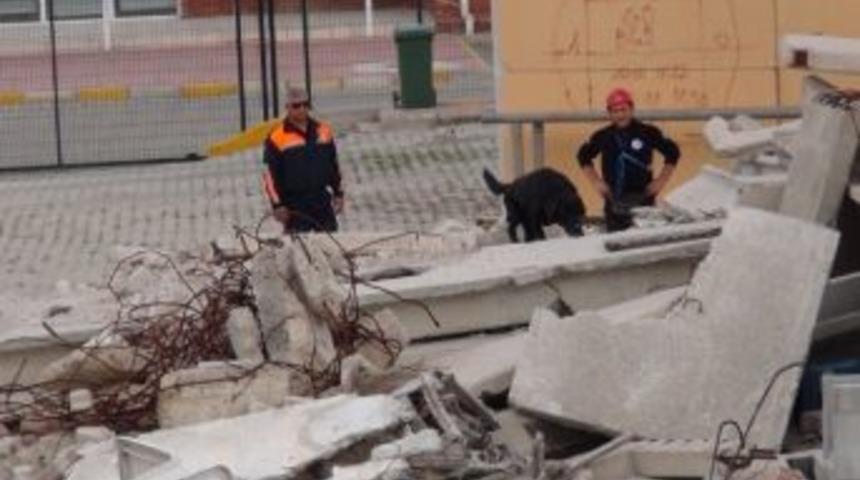 Bu K&ouml;pekler 6 Kazazede&rsquo;den 5&rsquo;ini Bulmak Zorundalar