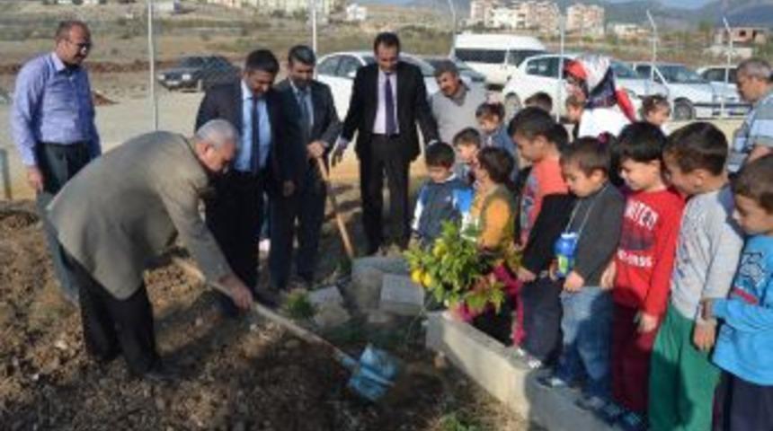 Anaokulu &Ouml;ğrencileri Fidan Dikti