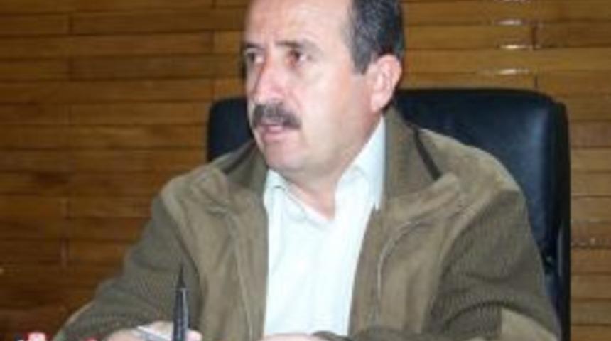 Çıvgalar Köyüne 100 Bin Adet Fidan Dikilecek