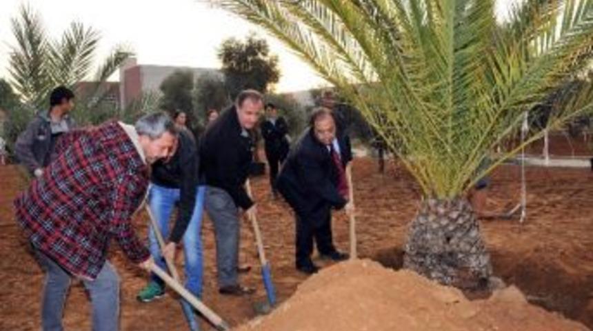 Ad&uuml; Botanik Bah&ccedil;esinde İlk Fidanlar Toprakla Buluştu