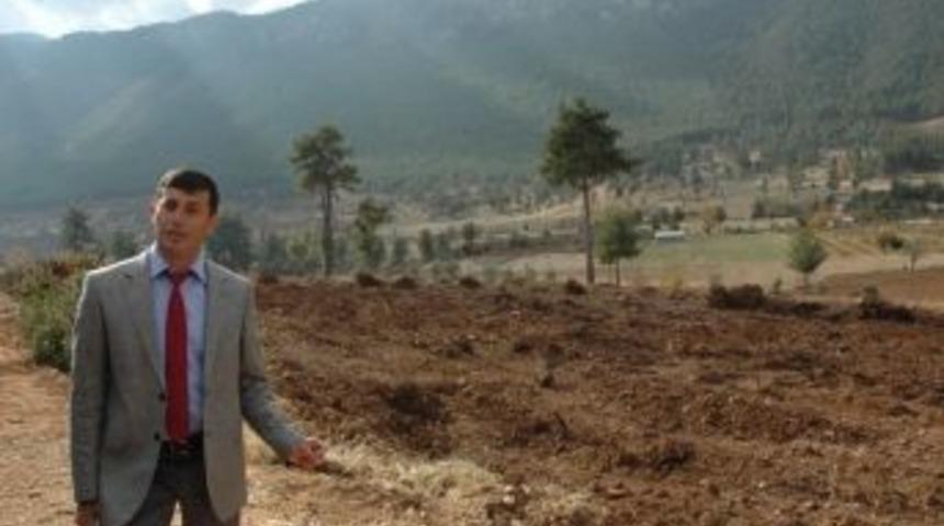 Beşkonak K&ouml;y&uuml;ne Tr&uuml;f Mantarı Dikilecek