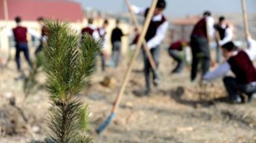 Altındağ&rsquo;da Ağa&ccedil; Dikme Şenliği