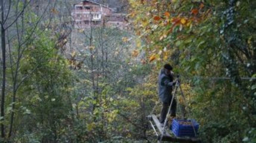 K&ouml;pr&uuml; Y&uuml;z&uuml;nden K&ouml;y&uuml; Terk Ettiler