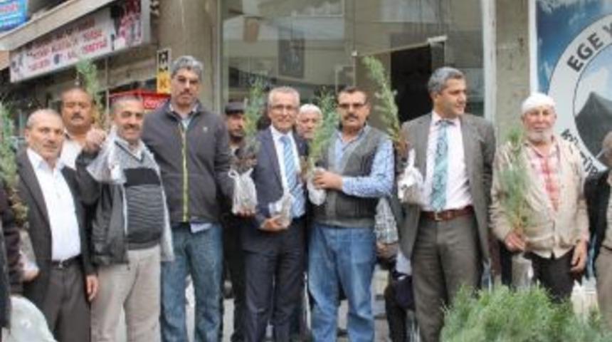 Ak Partili &Ouml;zkan'dan Bornova'da Yeşil Seferberlik