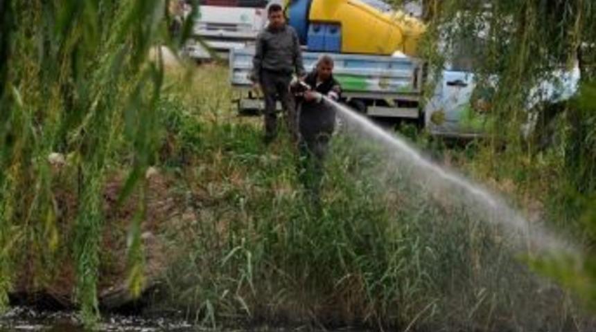 Karacabey Belediyesi&rsquo;nden &lsquo;kara Sinek&rsquo; A&ccedil;ıklaması