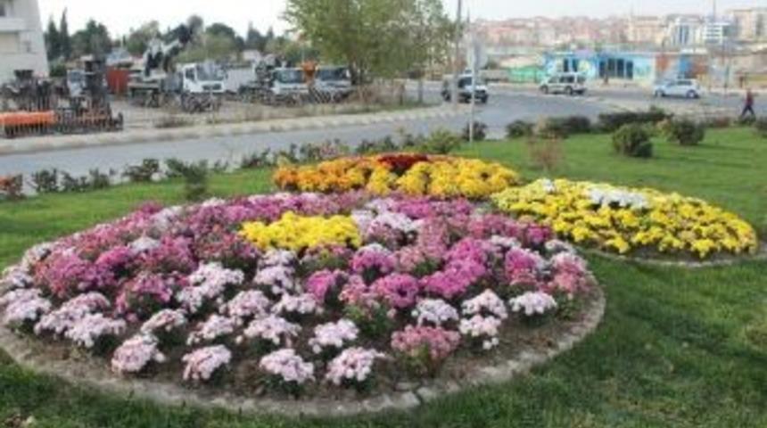 Peyzaj &Ccedil;alışmaları Yaz Kış Dinlemiyor