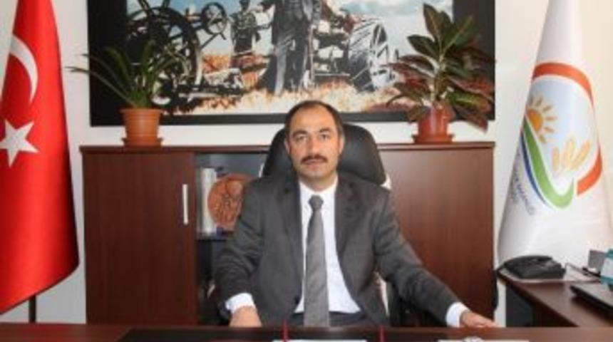 Patates Üreticilerinin Yıllardan Sonra Yüzü Güldü