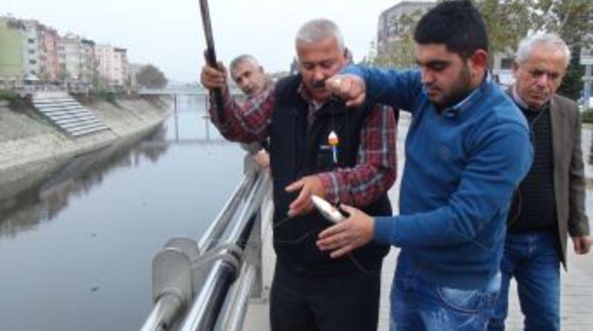 Asi Nehri'nde Balık &Ouml;l&uuml;mleri Başladı