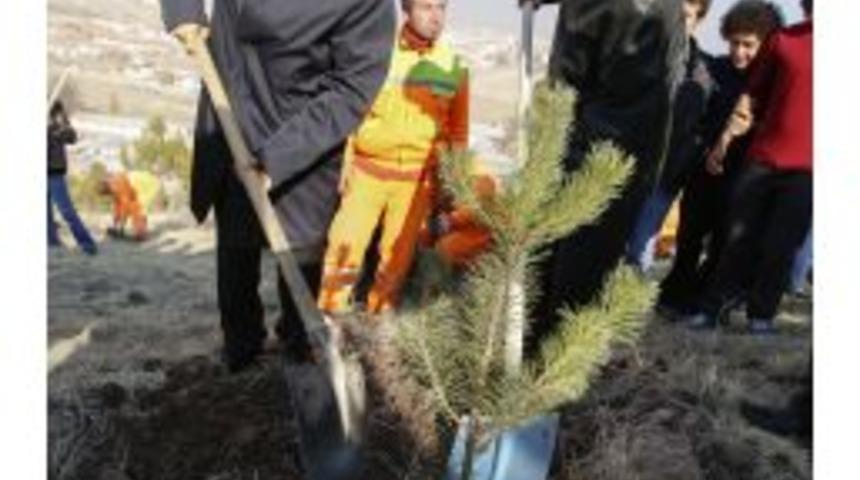Sincan’da Fidanlar Toprakla Buluştu