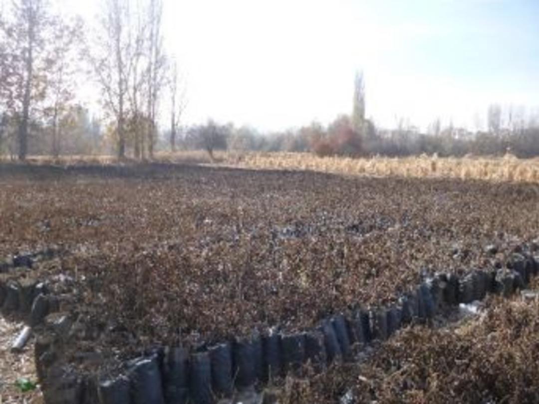 Sibirya’dan Sivrihisar’a