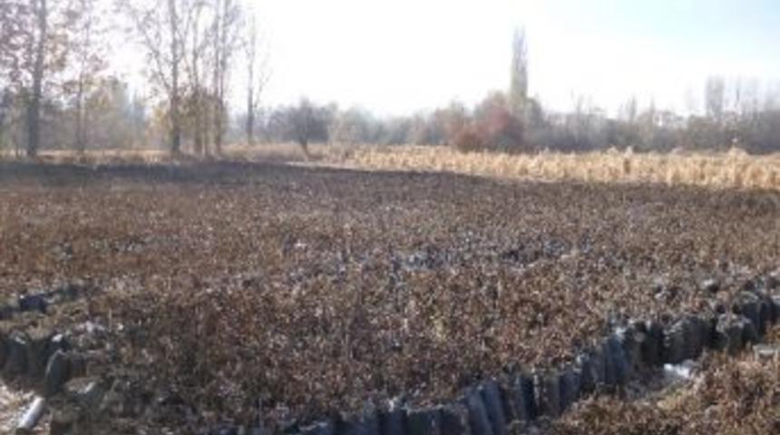 Sibirya&rsquo;dan Sivrihisar&rsquo;a