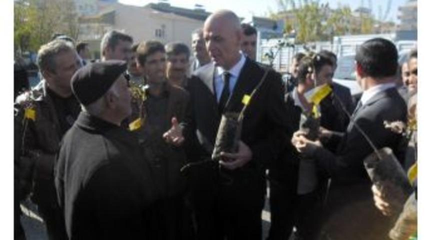 &Ccedil;ift&ccedil;ilere 200 Bin Antep Fıstığı Fidanı Dağıtıldı